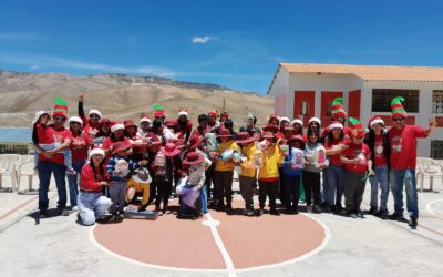 «Virgen del Rosario» San Juan de Tarucani, Zona Altoandina (Arequipa)